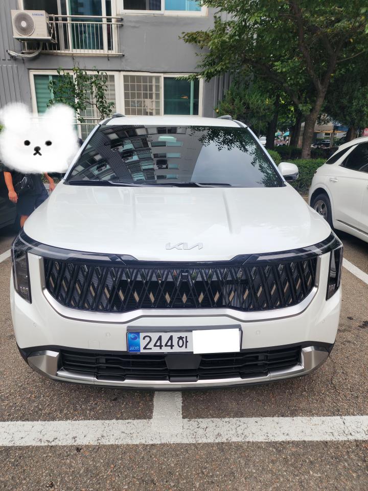 윤*진의 리뷰 이미지