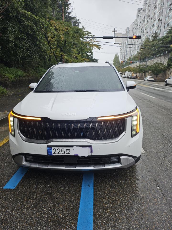 심*진의 리뷰 이미지